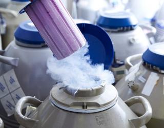 Apple offers $20,000 to female employees to cover costs of freezing eggs Apple offers $20,000 to female employees to cover costs of freezing eggs