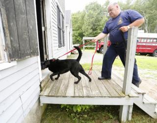 Maine trains dogs to sniff & detect arson Maine trains dogs to sniff & detect arson