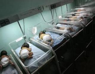 Boys and Girls are conceived in Equal Numbers: Study