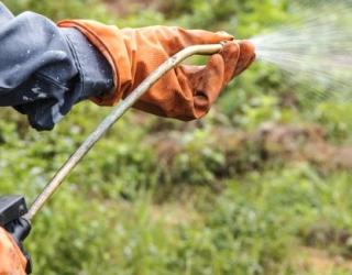 Weedkiller: A Potential Cancer Risk Weedkiller: A Potential Cancer Risk