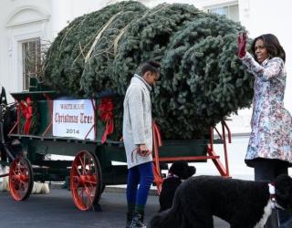 Christmas Tree Arrives at White House
