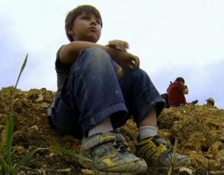 4-Year-Old discovers 100-Million-Year Old Cretacean Dinosaur
