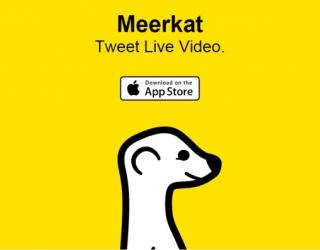 New ‘Meerkat’ live-video streaming app captures Twitter users’ attention