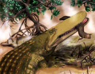 New Species of Carnivorous Reptile discovered in Southwestern Tanzania