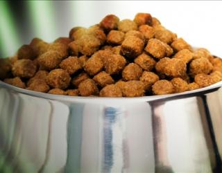 FDA Asks For Immediate Recall of Two Pet-Food and Treat Products 