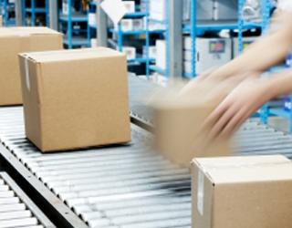 Decline in Wholesale Prices Continues Decline in Wholesale Prices Continues