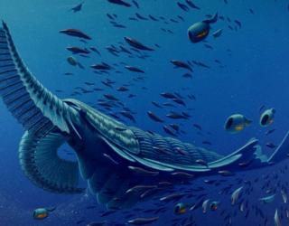 Ancient sea beast helps scientists know about origins of arthropod legs Ancient sea beast helps scientists know about origins of arthropod legs