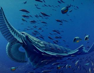 Ancient sea beast helps scientists know about origins of arthropod legs