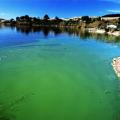 Toxic Bloom of Blue-Green Algae at Detroit Lake, but Salem’s Drinking Water Safe