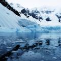 Melting Antarctic glaciers bring along some positives for marine life