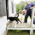 Maine trains dogs to sniff & detect arson