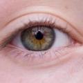 Contact Lenses can Modify Microorganisms Living Naturally in the Human Eye