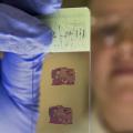 Allen Institute for Brain Science takes big step towards mapping Human Brain Allen Institute for Brain Science takes big step towards mapping Human Brain