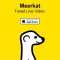 New ‘Meerkat’ live-video streaming app captures Twitter users’ attention