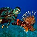 Islamorada Dive Center Owner Eric Billips Killed Thousands of Invasive, Venomous Predators Islamorada Dive Center Owner Eric Billips Killed Thousands of Invasive, Venomous