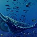 Ancient sea beast helps scientists know about origins of arthropod legs Ancient sea beast helps scientists know about origins of arthropod legs