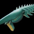AegirocassisBenmoulae was an Extinct Kind Of Arthropod, say Researchers