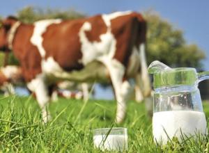 Consumption of Raw Milk has Potential Dangers, Warn California Heath Officials