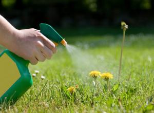 WHO links Weedkiller use to Cancer