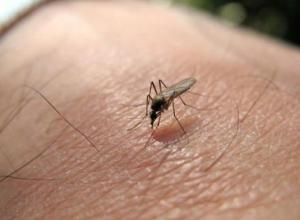 West Nile virus detected in Loveland resident