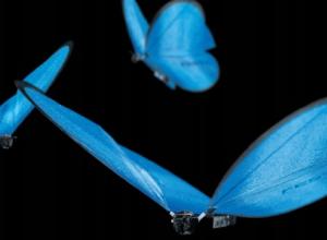 Researchers produce Bionic Ants and Butterflies on 3D printer