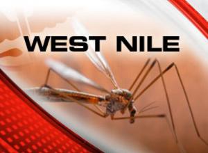 Report confirms Surge in Cases of West Nile Virus among County Birds